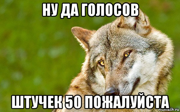 ну да голосов штучек 50 пожалуйста, Мем   Volf