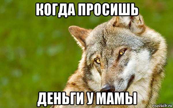 когда просишь деньги у мамы, Мем   Volf