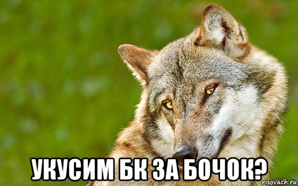  укусим бк за бочок?, Мем   Volf