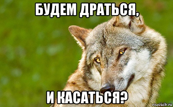 будем драться, и касаться?, Мем   Volf