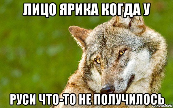 лицо ярика когда у руси что-то не получилось, Мем   Volf