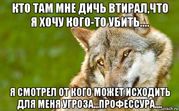 кто там мне дичь втирал,что я хочу кого-то убить.... я смотрел от кого может исходить для меня угроза...профессура...., Мем   Volf