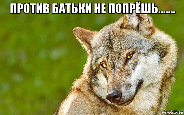 против батьки не попрёшь....... , Мем   Volf