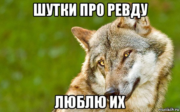 шутки про ревду люблю их, Мем   Volf