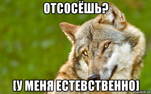 отсосёшь? [у меня естевственно], Мем   Volf