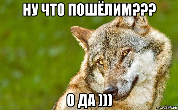 ну что пошёлим??? о да ))), Мем   Volf