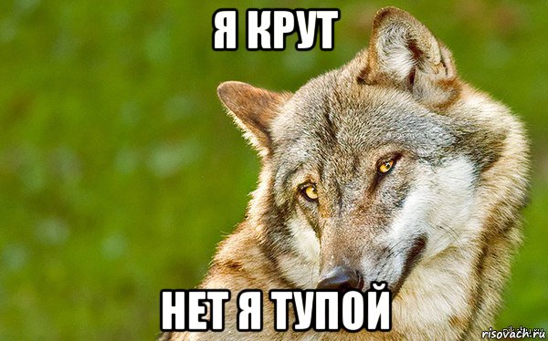 я крут нет я тупой