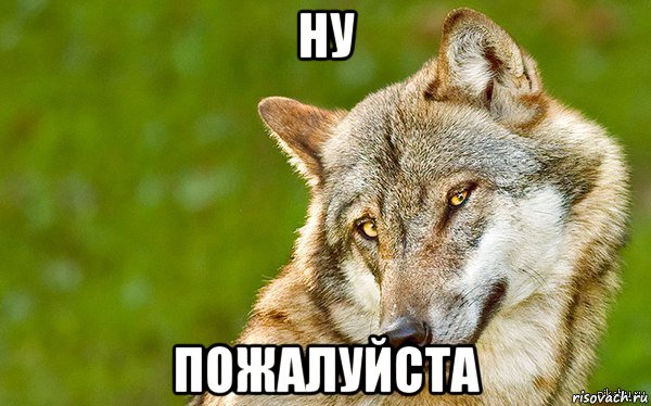 ну пожалуйста, Мем   Volf