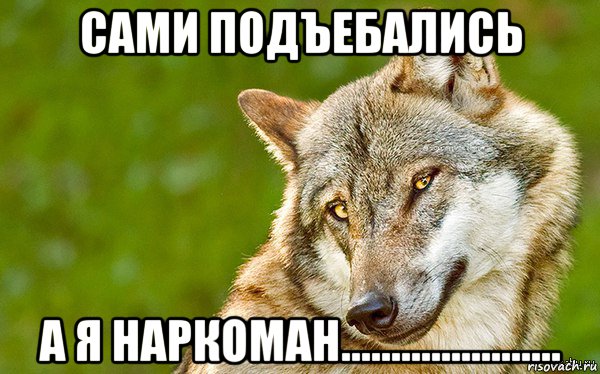 сами подъебались а я наркоман......................, Мем   Volf