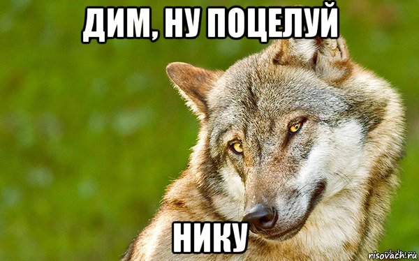 дим, ну поцелуй нику, Мем   Volf