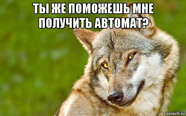 ты же поможешь мне получить автомат? 