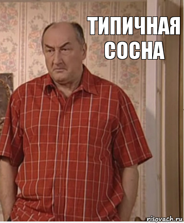 типичная сосна