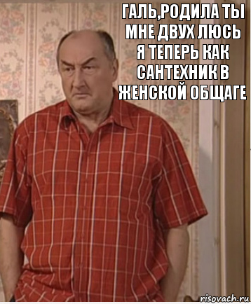 Галь,родила ты мне двух Люсь
Я теперь как сантехник в женской общаге, Комикс Николай Петрович Воронин