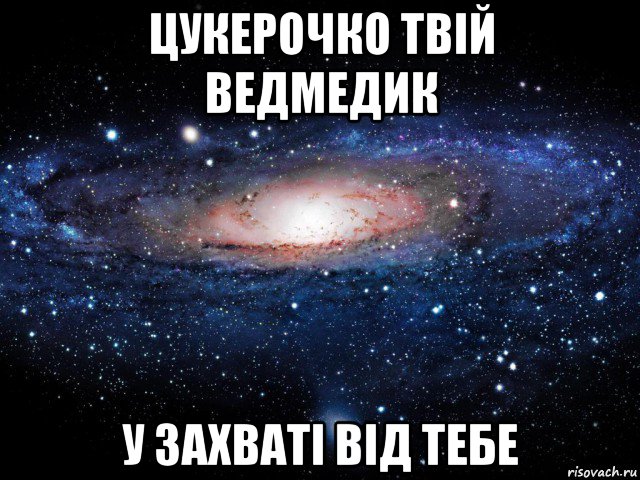 цукерочко твій ведмедик у захваті від тебе, Мем Вселенная