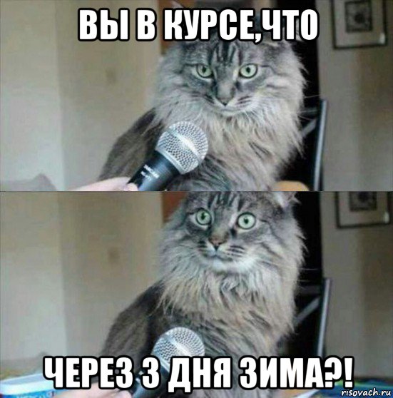 вы в курсе,что через 3 дня зима?!