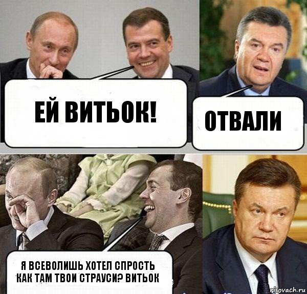 ЕЙ ВИТЬОК! ОТВАЛИ Я ВСЕВОЛИШЬ ХОТЕЛ СПРОСТЬ КАК ТАМ ТВОИ СТРАУСИ? ВИТЬОК