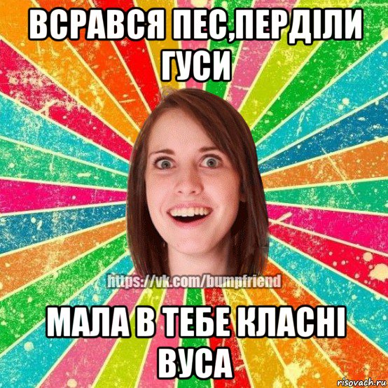 всрався пес,перділи гуси мала в тебе класні вуса, Мем Йобнута Подруга ЙоП