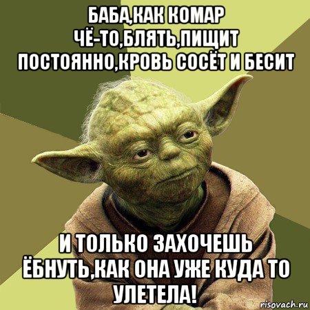 баба,как комар чё-то,блять,пищит постоянно,кровь сосёт и бесит и только захочешь ёбнуть,как она уже куда то улетела!