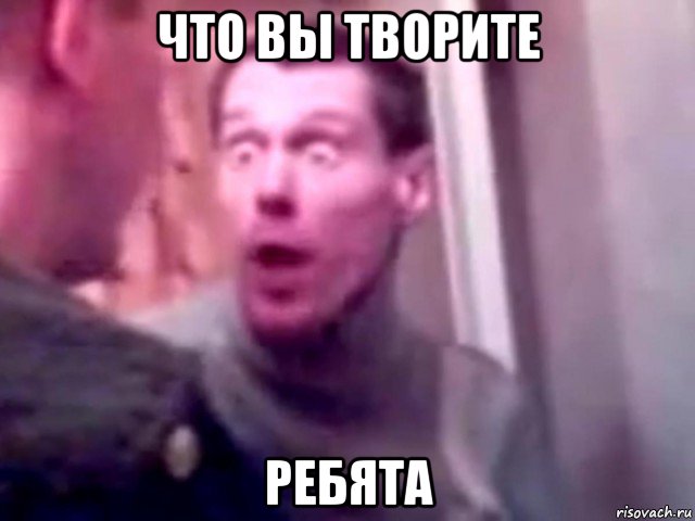 что вы творите ребята, Мем Запили