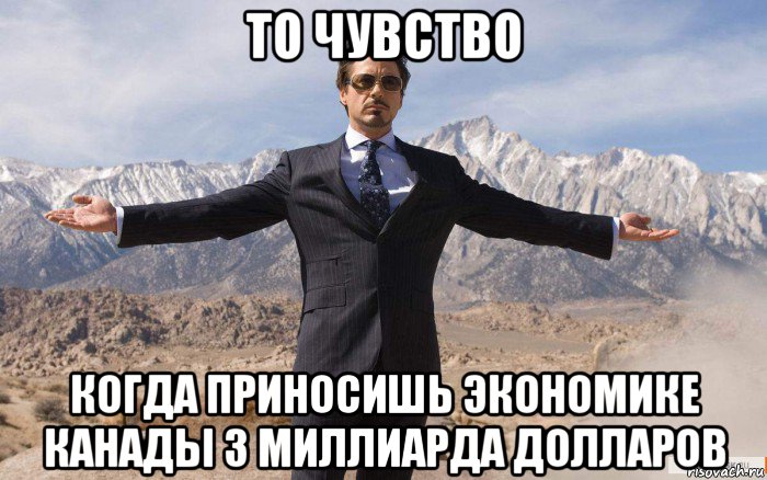 то чувство когда приносишь экономике канады 3 миллиарда долларов, Мем железный человек