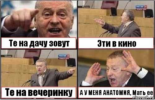 Те на дачу зовут Эти в кино Те на вечеринку А У МЕНЯ АНАТОМИЯ, Мать ее, Комикс жиреновский