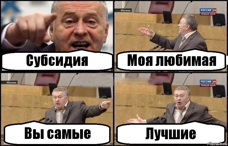 Субсидия Моя любимая Вы самые Лучшие, Комикс Жириновский