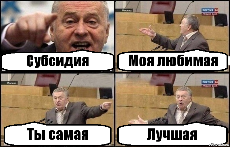 Субсидия Моя любимая Ты самая Лучшая, Комикс Жириновский