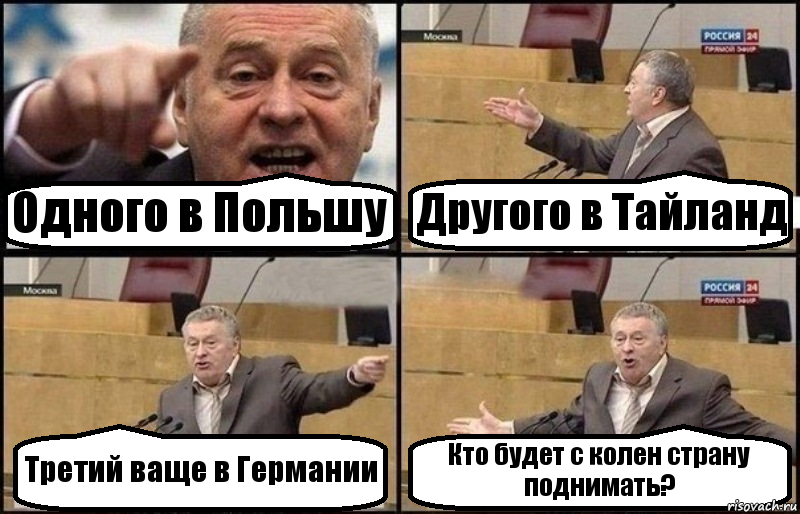 Одного в Польшу Другого в Тайланд Третий ваще в Германии Кто будет с колен страну поднимать?, Комикс Жириновский