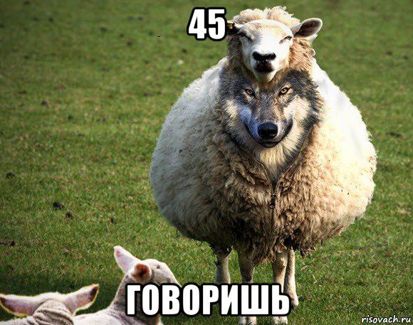 45 говоришь, Мем Злая Овца