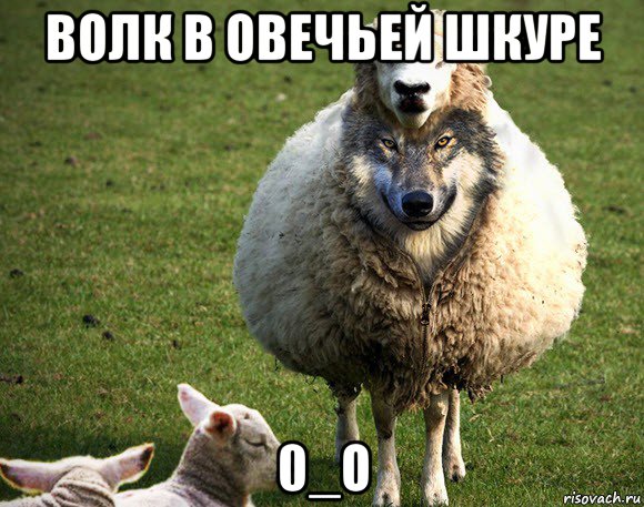 волк в овечьей шкуре 0_о, Мем Злая Овца