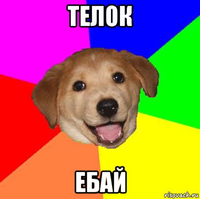 телок ебай, Мем Advice Dog