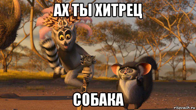 http://risovach.ru/upload/2015/12/mem/ah-ty-hitrec_100352035_orig_.jpg