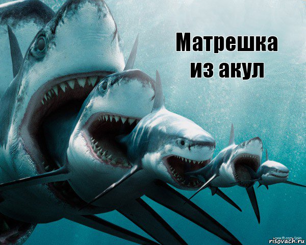Матрешка из акул