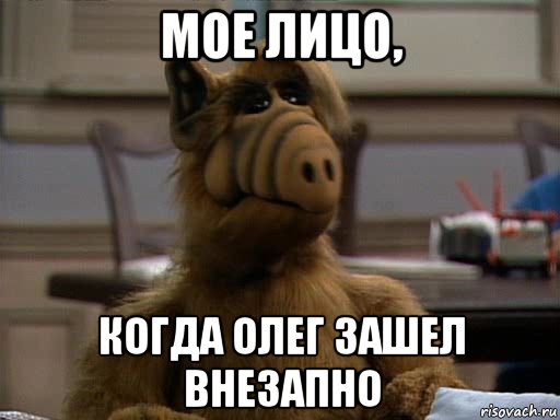 мое лицо, когда олег зашел внезапно, Мем Альф