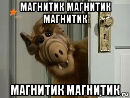 магнитик магнитик магнитик магнитик магнитик