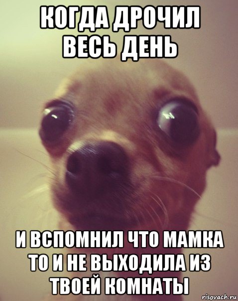 когда дрочил весь день и вспомнил что мамка то и не выходила из твоей комнаты, Мем  Аргументный аргумент