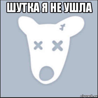 шутка я не ушла 