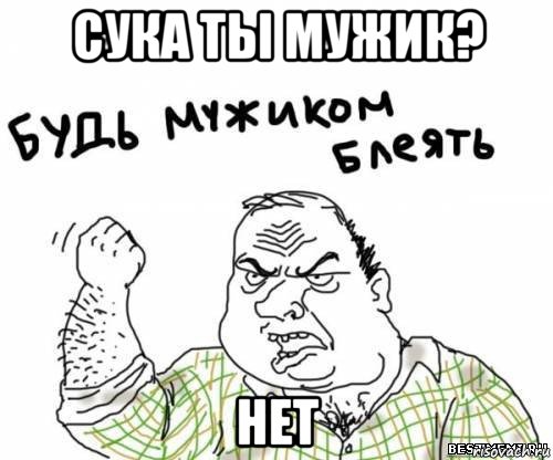 сука ты мужик? нет, Мем блять