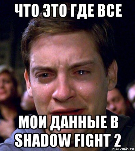 что это где все мои данные в shadow fight 2