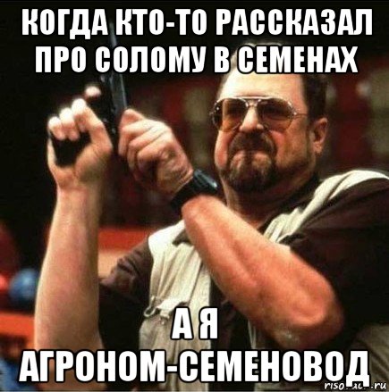 когда кто-то рассказал про солому в семенах а я агроном-семеновод, Мем Большой Лебовски