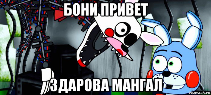 бони привет здарова мангал