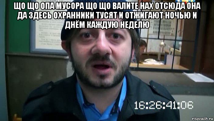 що що опа мусора що що валите нах отсюда она да здесь охранники тусят и отжигают ночью и днём каждую неделю , Мем Бородач