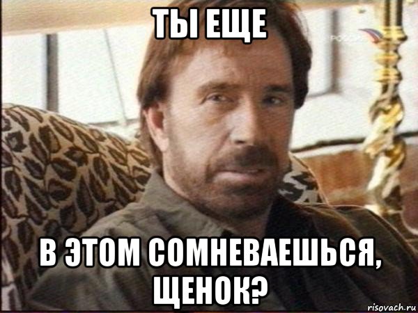 ты еще в этом сомневаешься, щенок?