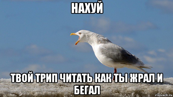 нахуй твой трип читать как ты жрал и бегал
