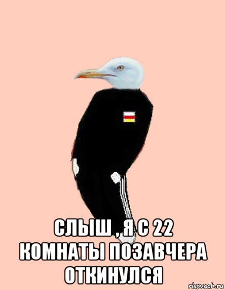  слыш , я с 22 комнаты позавчера откинулся