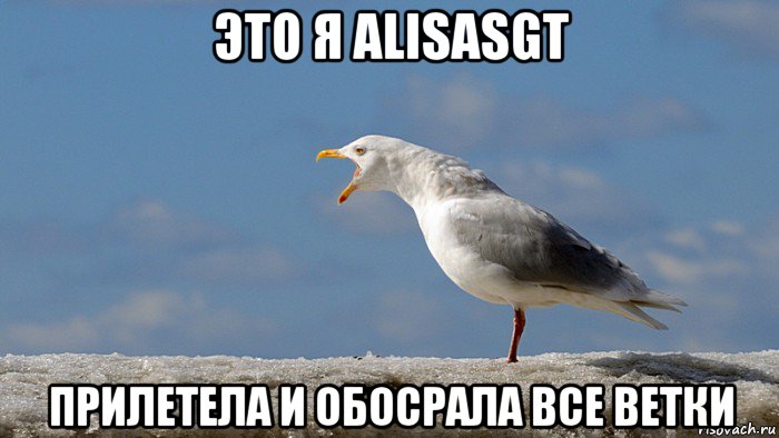 это я alisasgt прилетела и обосрала все ветки