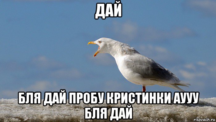 дай бля дай пробу кристинки аууу бля дай
