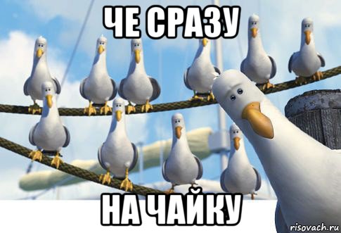 че сразу на чайку