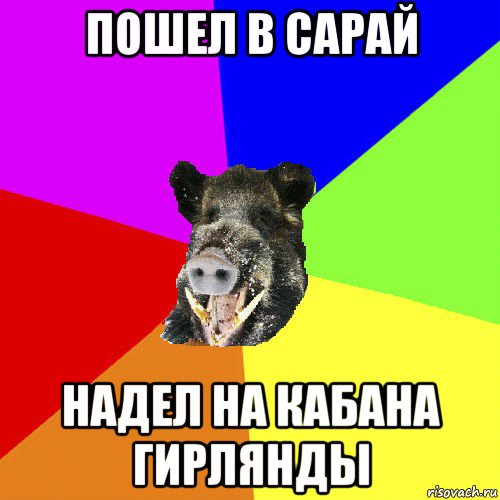 пошел в сарай надел на кабана гирлянды