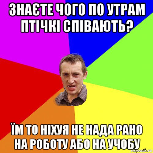 знаєте чого по утрам птічкі співають? їм то ніхуя не нада рано на роботу або на учобу, Мем Чоткий паца